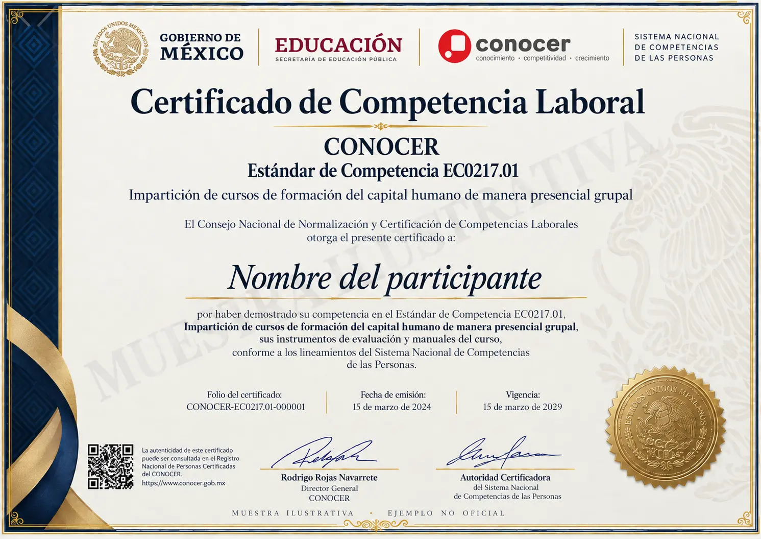 certificado217